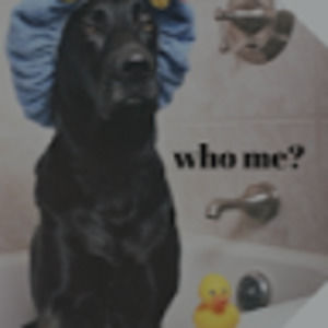 Meet your Posher, Faith